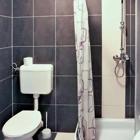 Apartment Tatjana-1 Ugljan